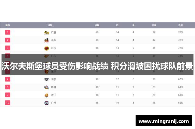 沃尔夫斯堡球员受伤影响战绩 积分滑坡困扰球队前景