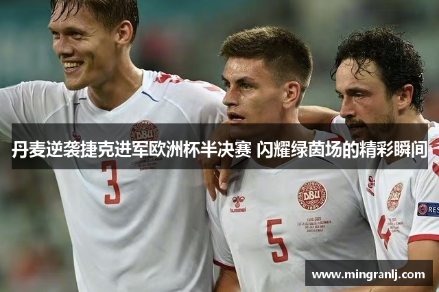 丹麦逆袭捷克进军欧洲杯半决赛 闪耀绿茵场的精彩瞬间