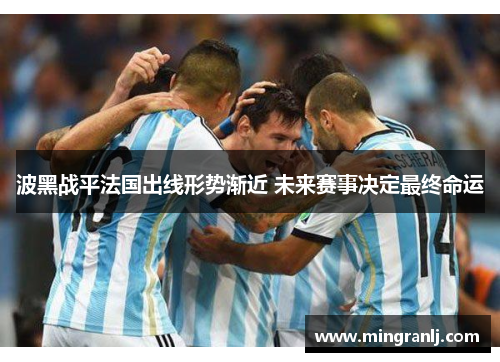 波黑战平法国出线形势渐近 未来赛事决定最终命运