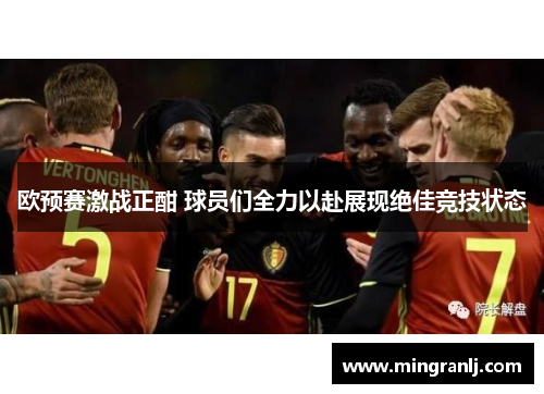欧预赛激战正酣 球员们全力以赴展现绝佳竞技状态
