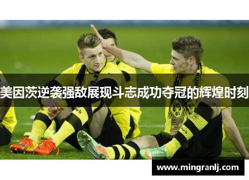 美因茨逆袭强敌展现斗志成功夺冠的辉煌时刻