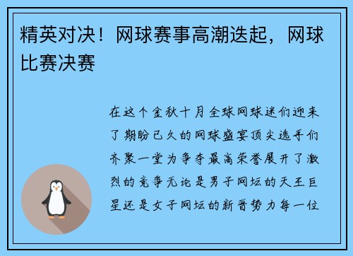精英对决！网球赛事高潮迭起，网球比赛决赛